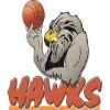 Bay Hawks
