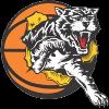 Willetton Tigers (W)
