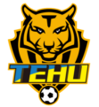 NanjingTehuFootballClub