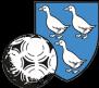 FCEchichens