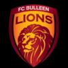 Singa Bulleen FC